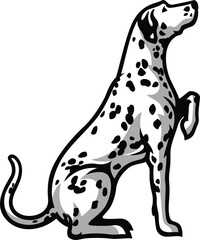 Dalmatian Dog Sitting with Paw Up