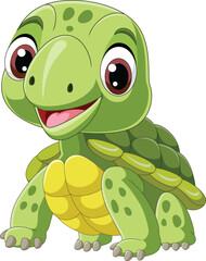 Cartoon little turtle on white background
