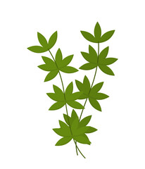 Green leaf vector concept