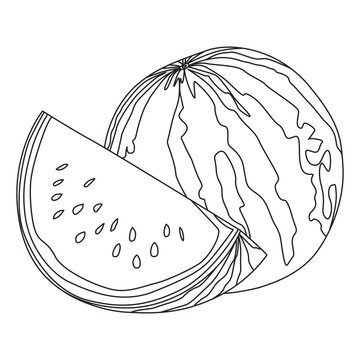 Watermelon Outline Vector Illustration, Suitable For Sticker, Coloring Book For Kids And Graphic Design Elements