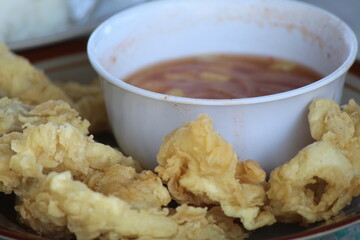 Close up of starchy fried chicken dish with sauce on a plate