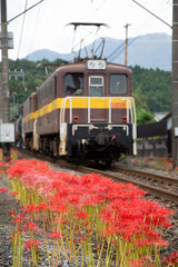 Obraz premium 彼岸花と三岐鉄道の機関車