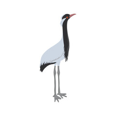 vector drawing sketch of bird, hand drawn demoiselle crane, isolated nature design element