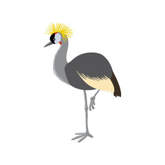 vector drawing sketch of bird, hand drawn black crowned crane , isolated nature design element