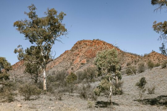 Mountains in the desert