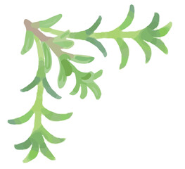 アロマに使われるハーブのイラスト・コーナー。フレームが作れます。ベクター素材