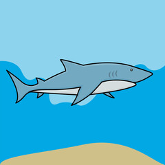SHARK VECTOR DESIGN. ILLUSTRATION OF ANIMALS IN THE SEA. MARINE LIFE.