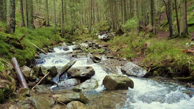 Great scenery view as river flowing through the mountain hills wild nature. Prut river in Carpathian Mountains, Hoverla Peak. Fast stream water with waterfalls through the rocks