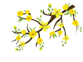 Ochna integerrima  tree branch vector. Ochna flower clip art. Vietnam traditional Tet flower vector, hoa mai. Apricot blossom. Flat vector in cartoon style isolated on white back ground