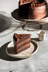 piece of cake with chocolate