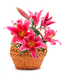 Bouquet of pink lilies in a gift basket.