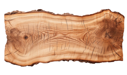 Piece of a cutted tree isolated on transparent background