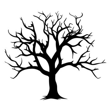 Dead Tree Silhouette Vector isolated on a white background, Scary Bare tree black Silhouette