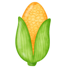 Corn on the Cob Illustration