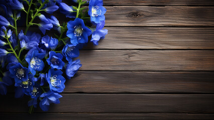 Delphinium Flower on Wood Background with Copy Space