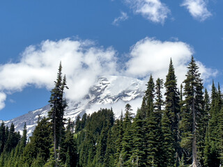 A view of Mt. Rainier hiding behind some clouds.