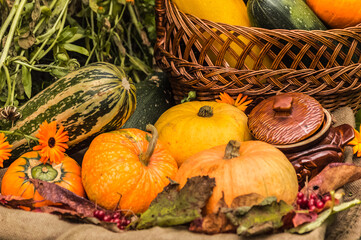 Autumn harvest of pumpkins and squashes in a basket.