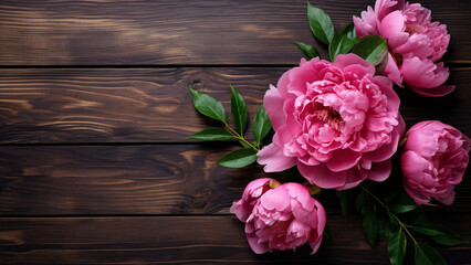Peony Flower on Wooden Background with Copy Space