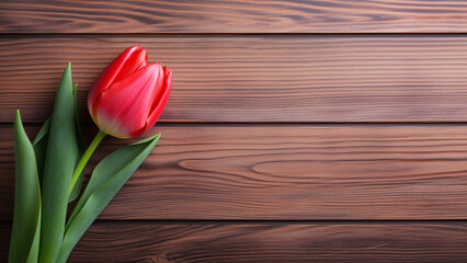 Tulip Flower Photograph on Wood Background with Copy Space