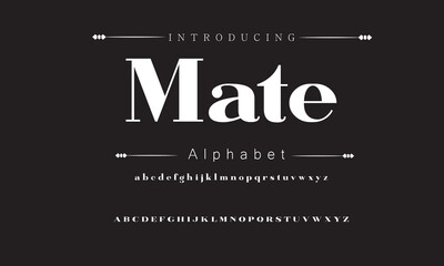 Mate Elegant Font Uppercase Lowercase and Number. Classic Lettering Minimal Fashion Designs. Typography modern serif fonts regular decorative vintage concept. vector illustration