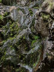 Beautiful waterfall in Cheile Galbenului gorge, Baia de Fier, Gorj, Romania