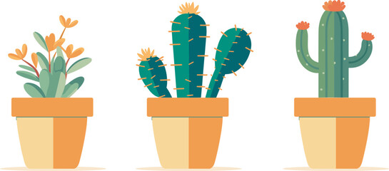 set of desert plant pots vector illustration