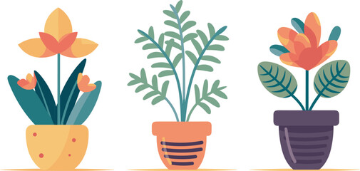 set of desert plant pots vector illustration