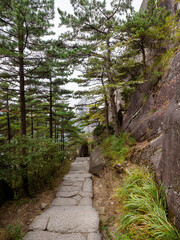 A close-up of a mountain road in Huangshan Scenic Area, Anhui province, China