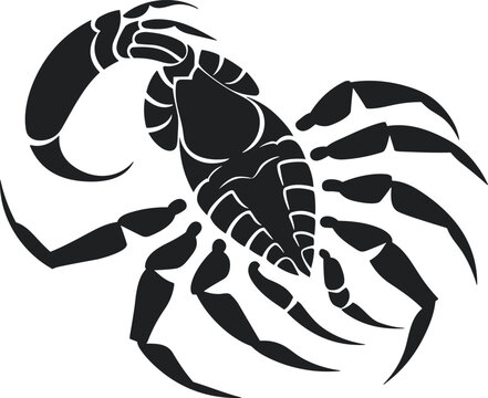 scorpion vector illustration for logos, tattoos, stickers, t-shirt designs, hats