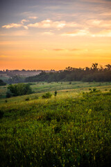 Fototapeta na wymiar A Splendid Sunrise over a Serene Field of Wildflowers and a Lone Coniferous Tree. Fog over the forest . Green trees in forest . Summer landscape . Summer morning in the field 