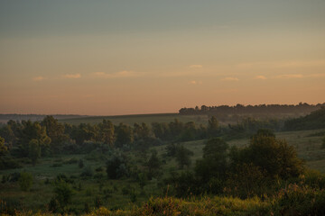 A Splendid Sunrise over a Serene Field of Wildflowers and a Lone Coniferous Tree. Fog over the forest . Green trees in forest . Summer landscape . Summer morning in the field 
