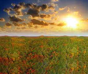Aerial panoramic view of New England foliage forest at sunset