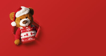 Cute Christmas teddy bear popping out of a hole in the paper