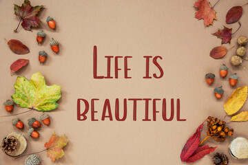 Fototapeta na wymiar Autumn Background with Text Life Is Beautiful