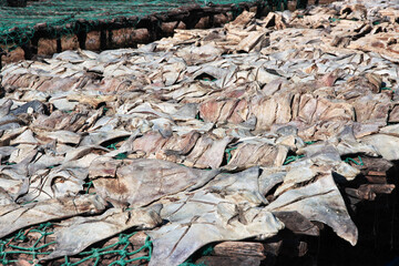 Dry fish in the village on Casamance river, Ziguinchor Region, Senegal, West Africa