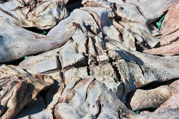 Dry fish in the village on Casamance river, Ziguinchor Region, Senegal, West Africa