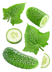 Cucumber isolated on white background