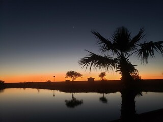  Playa al atardecer con silueta de palmera