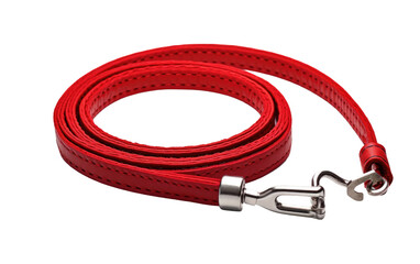 Stunning Red Reflective Dog Leash Isolated on Transparent Background PNG.