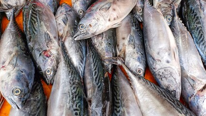 Close-up View Of Piles Of Fresh Mackerel Fish In Local Indonesian Market