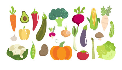 Vector illustration , vegetable set clipart in flat cartoon style ,bright color broccoli, cauliflower, carrot, zucchini, potato, onion, cucumber, beetroot, corn , asparagus, and other health vitamins.