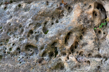 A close-up with a stone eroded by water