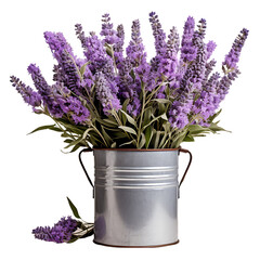 A Lavender Bouquet in a Rustic Tin Can Isolated on Transparent or White Background, PNG