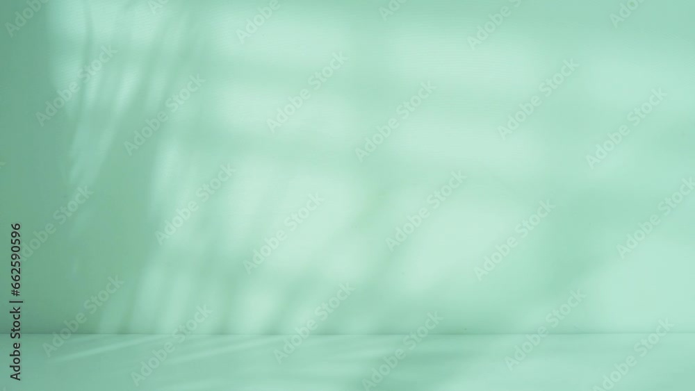 Poster background with curtains and palm leaf shadow