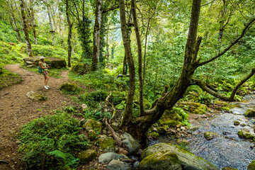 Girl traveler visits Mtirala National Park, Georgia, Adjara