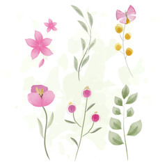 Set of isolated watercolor floral elements. Vector illustration