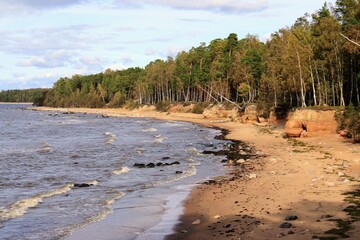 beach and trees