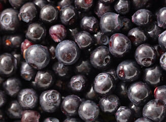 Close-up of blueberries as a background. Macro