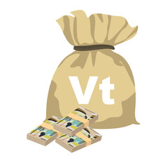 Vatu Vector Illustration. Vanuatu money set bundle banknotes. Money bag 5000 VUV. Flat style. Isolated on white background. Simple minimal design.