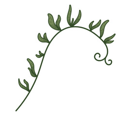 A twig of a vine with green leaves. Vector isolated flat plant branch.